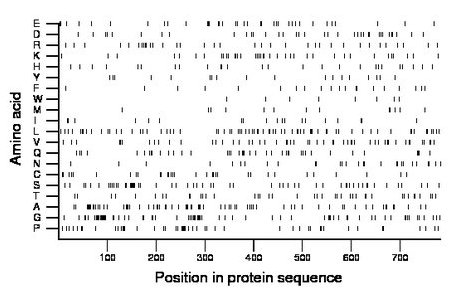 amino acid map