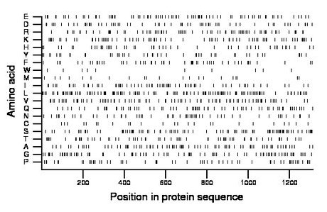 amino acid map