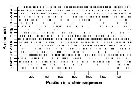 amino acid map