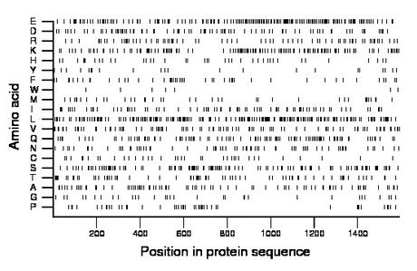 amino acid map