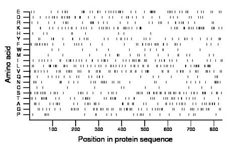 amino acid map