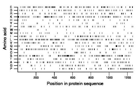 amino acid map