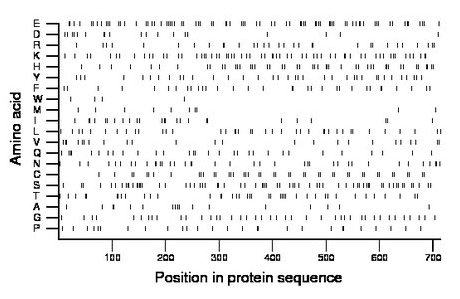 amino acid map