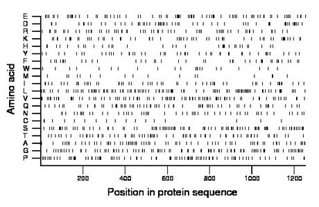 amino acid map