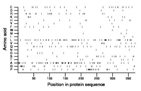 amino acid map