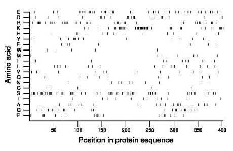 amino acid map