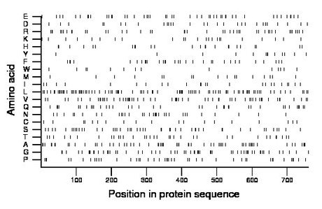 amino acid map