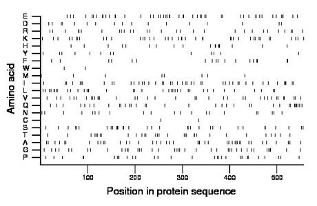 amino acid map