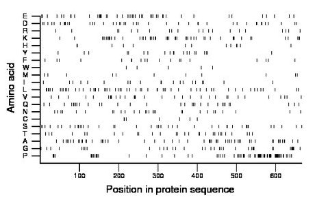 amino acid map