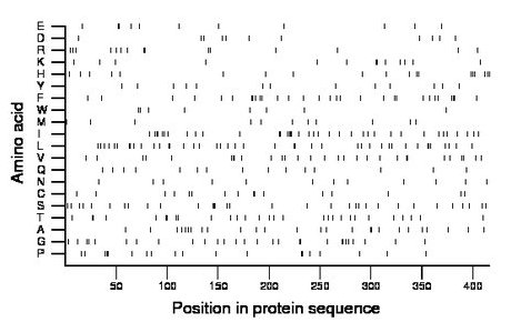 amino acid map