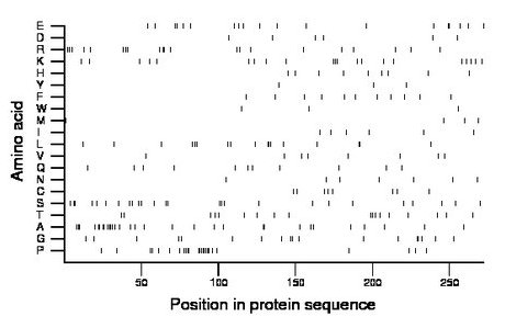 amino acid map