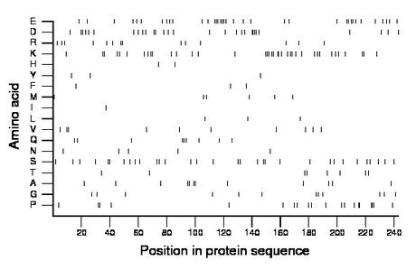 amino acid map