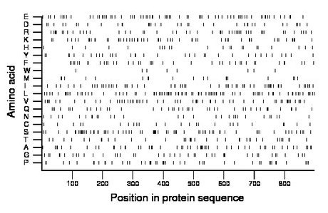 amino acid map