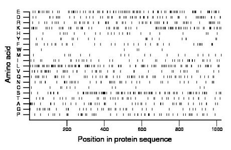 amino acid map