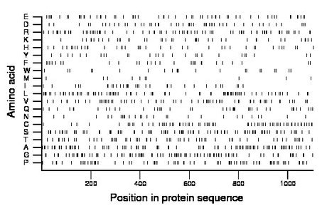 amino acid map