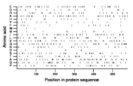 amino acid map