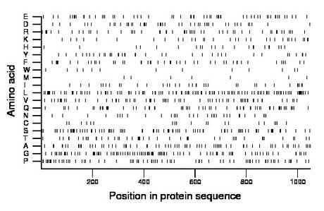 amino acid map