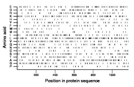 amino acid map