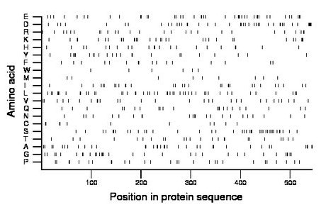 amino acid map