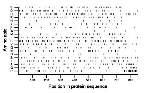 amino acid map