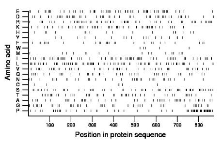 amino acid map