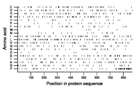 amino acid map