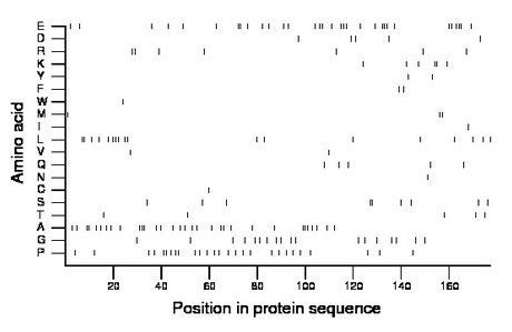 amino acid map