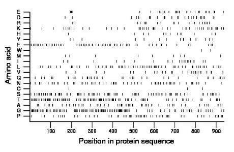 amino acid map