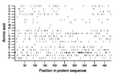 amino acid map