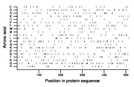 amino acid map