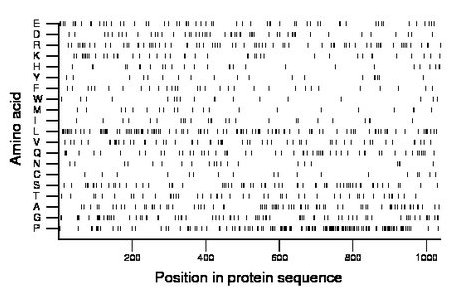 amino acid map