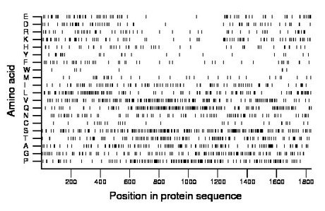 amino acid map