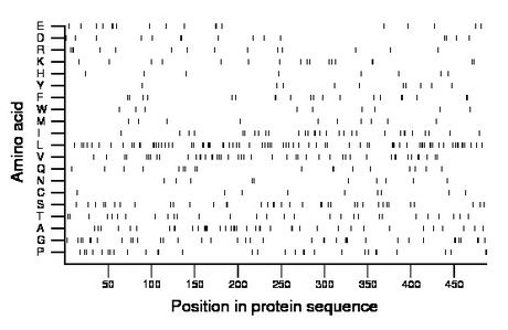 amino acid map