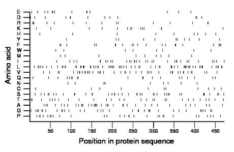 amino acid map