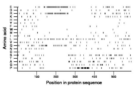 amino acid map