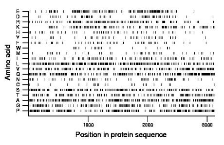 amino acid map