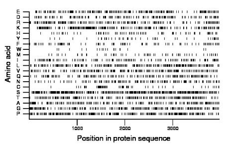 amino acid map