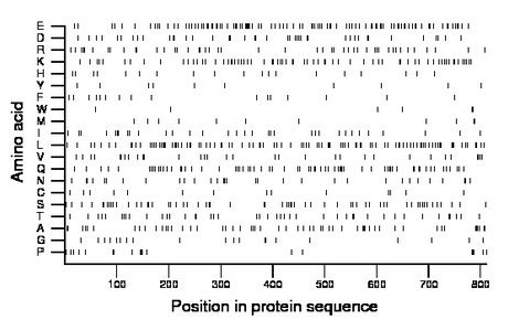 amino acid map