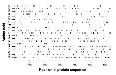 amino acid map