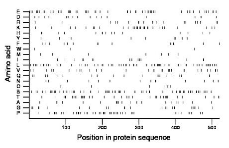 amino acid map