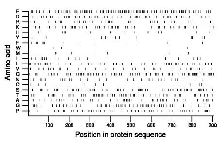 amino acid map