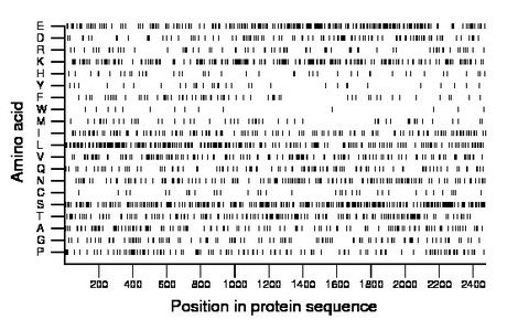 amino acid map