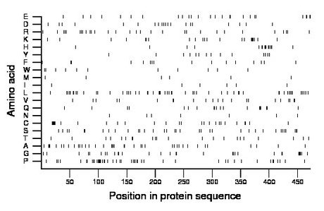 amino acid map