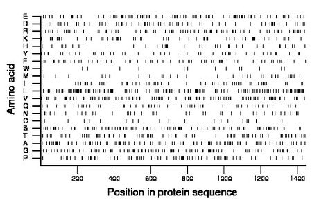 amino acid map