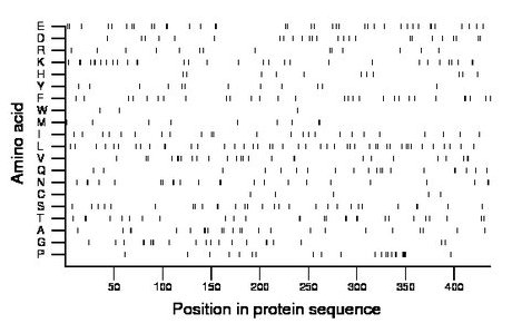 amino acid map