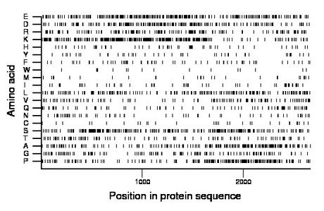 amino acid map