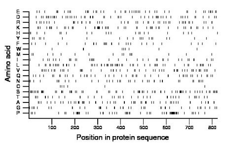 amino acid map