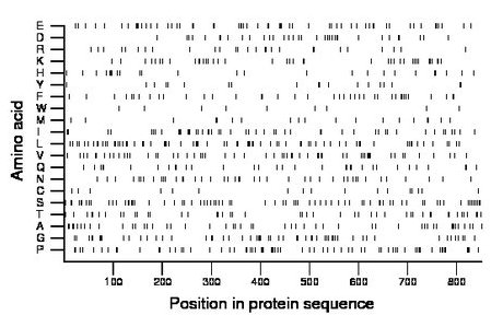 amino acid map