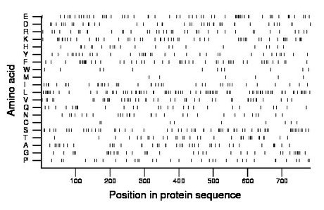 amino acid map