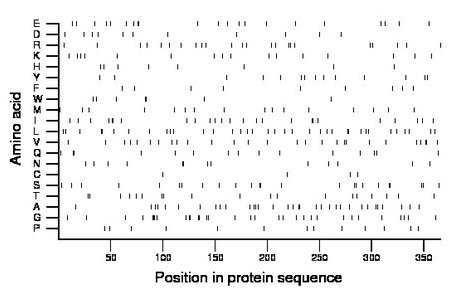 amino acid map